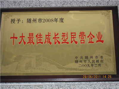 市十大最佳成长型民营企业.jpg