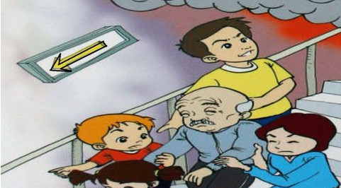 1565919647981554.jpg 2.jpg