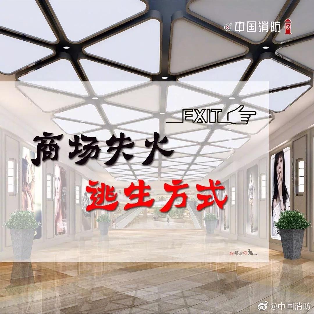 1574301826513584.jpg 11.jpg