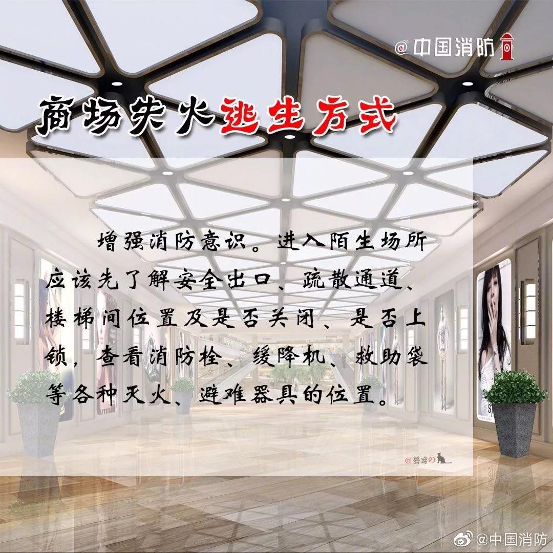 1574301864570472.jpg 22.jpg