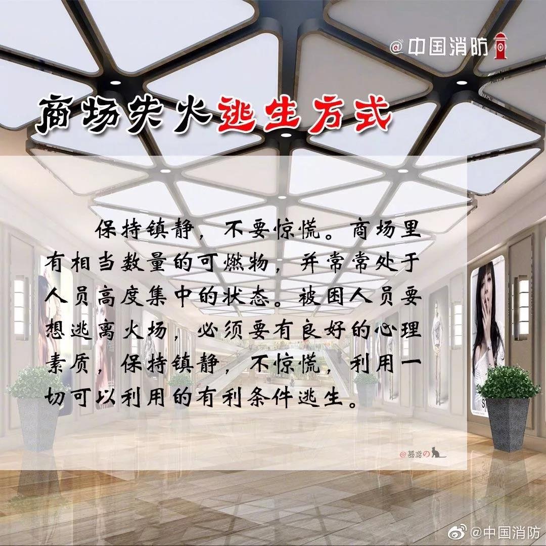 1574301918139199.jpg 33.jpg