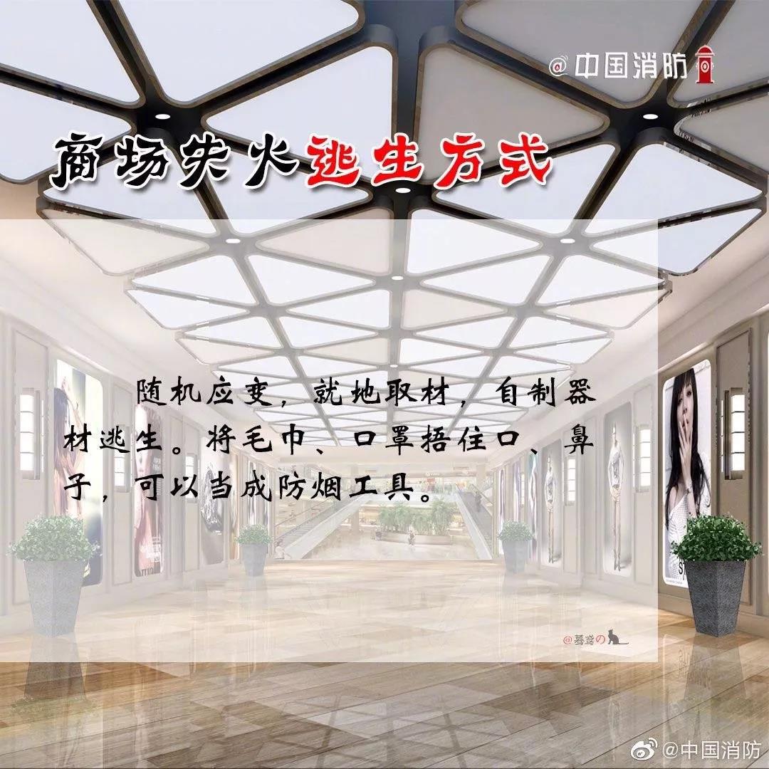 1574302016130377.jpg 44.jpg