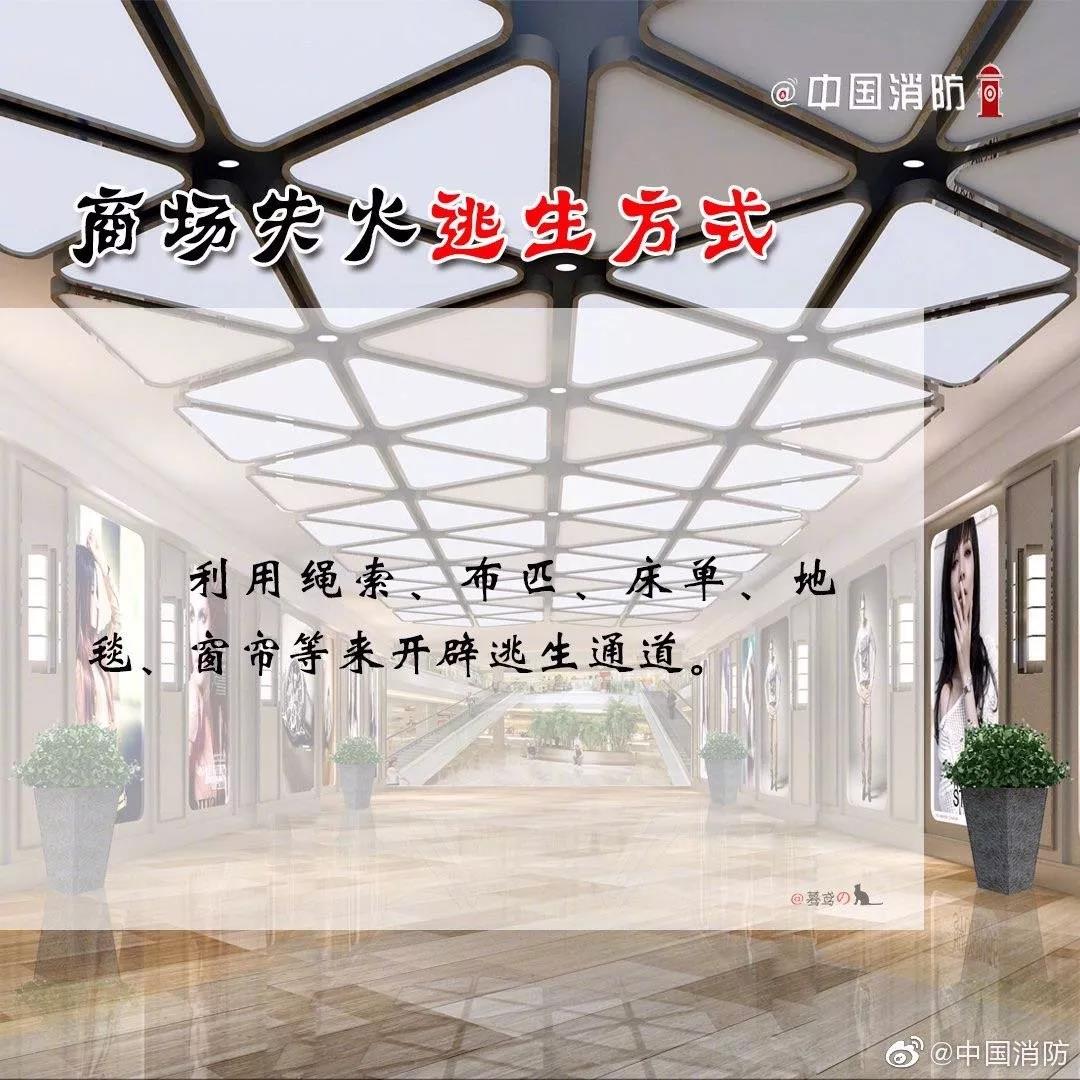 1574302054559628.jpg 55.jpg