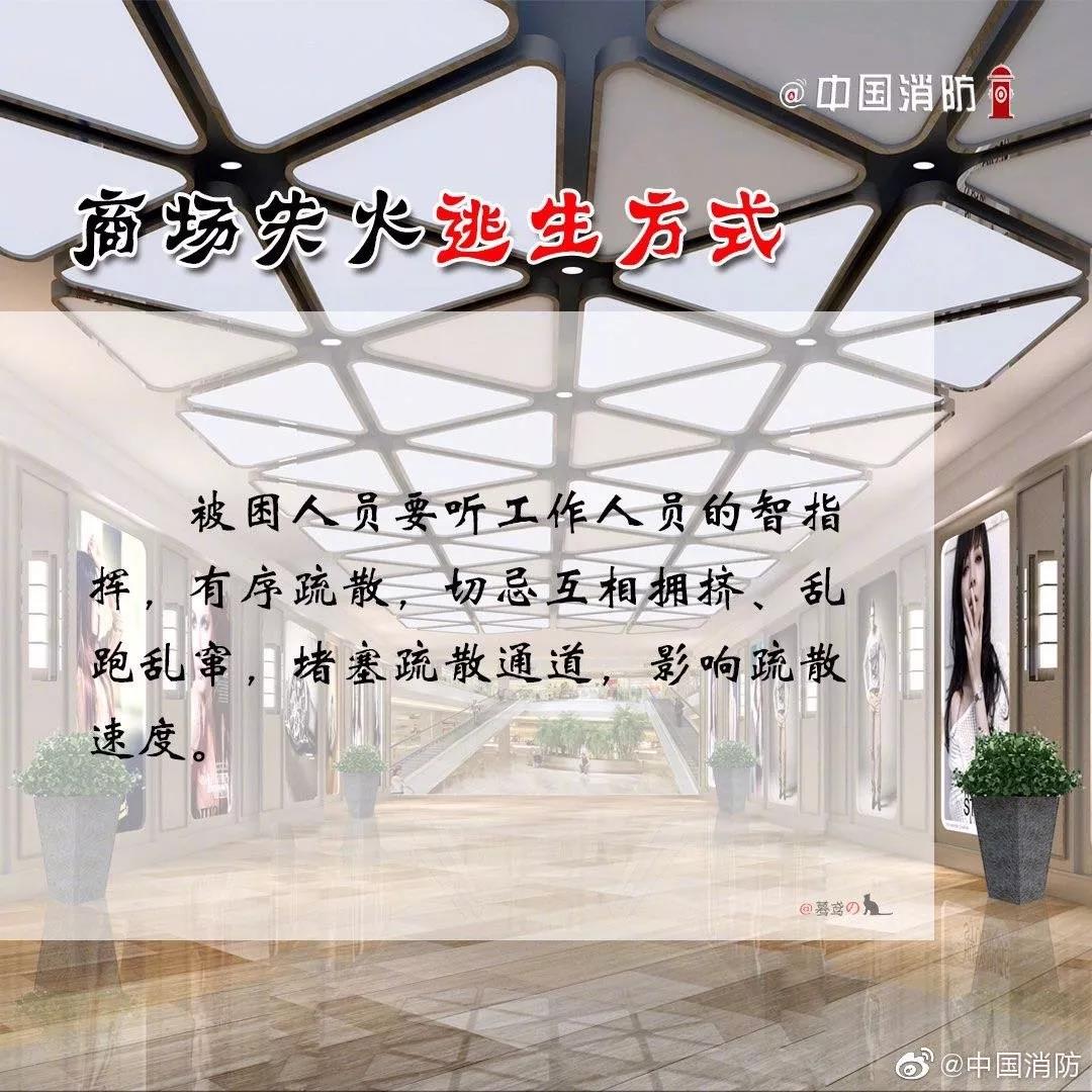 1574302174764588.jpg 77.jpg