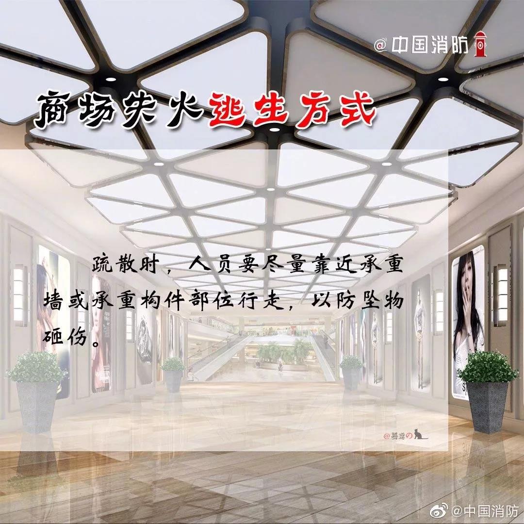 1574302214395160.jpg 88.jpg