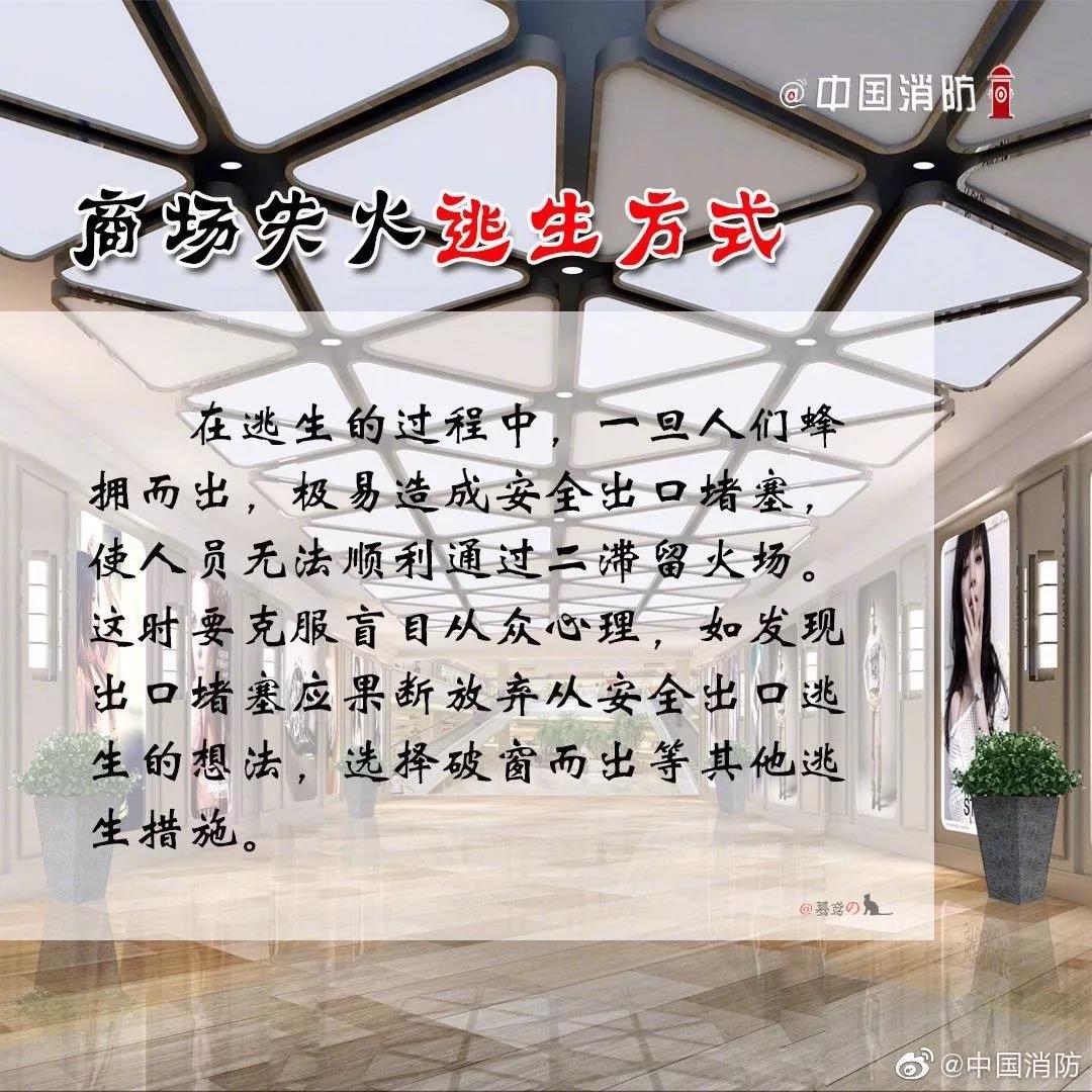 1574302268587125.jpg 99.jpg