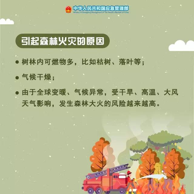 1574904487346061.jpg 2.jpg