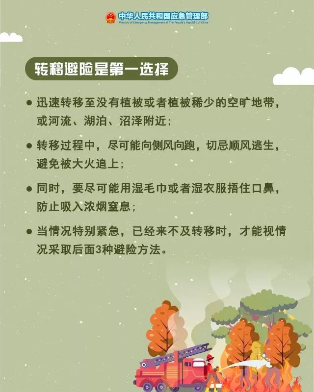 1574904503751205.jpg 4.jpg