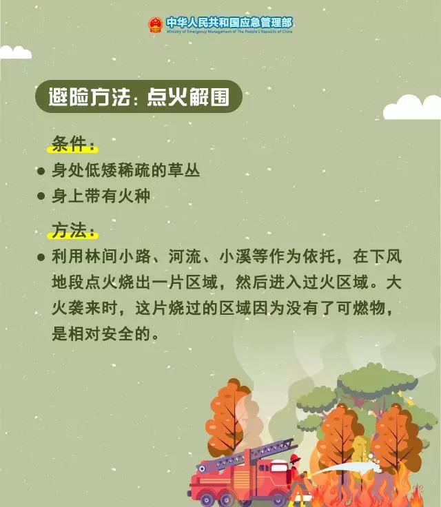 1574904514185466.jpg 5.jpg