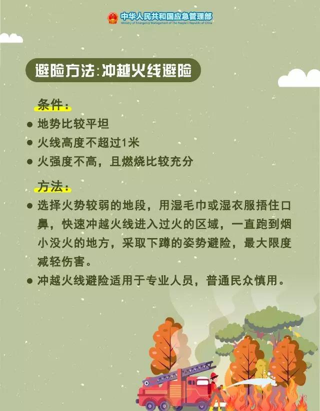 1574904521143597.jpg 6.jpg