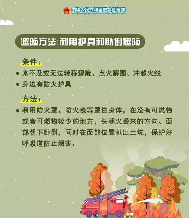 1574904531982458.jpg 7.jpg