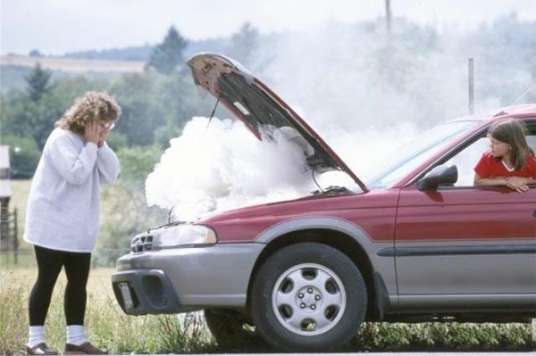 1575682020140124.jpg 2.jpg