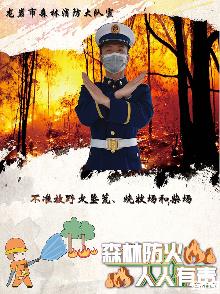 1585619420126995.jpg 9.jpg