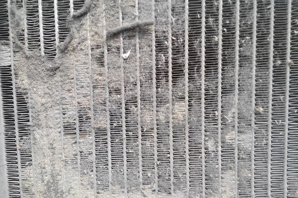 1588902585132963.jpg 1.jpg