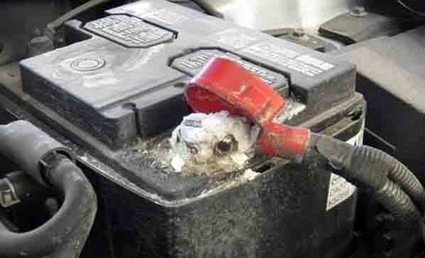 1615255716114395.jpg 1.jpg