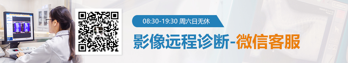 a5娱乐下载