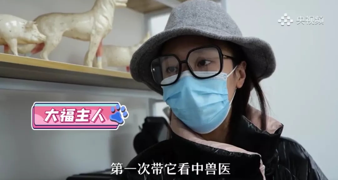 a5娱乐下载