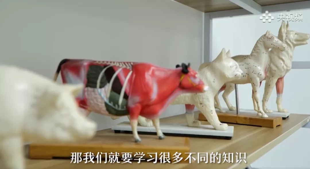 a5娱乐下载