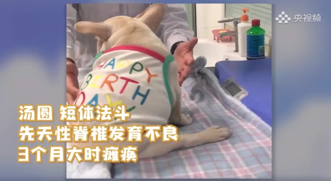 a5娱乐下载