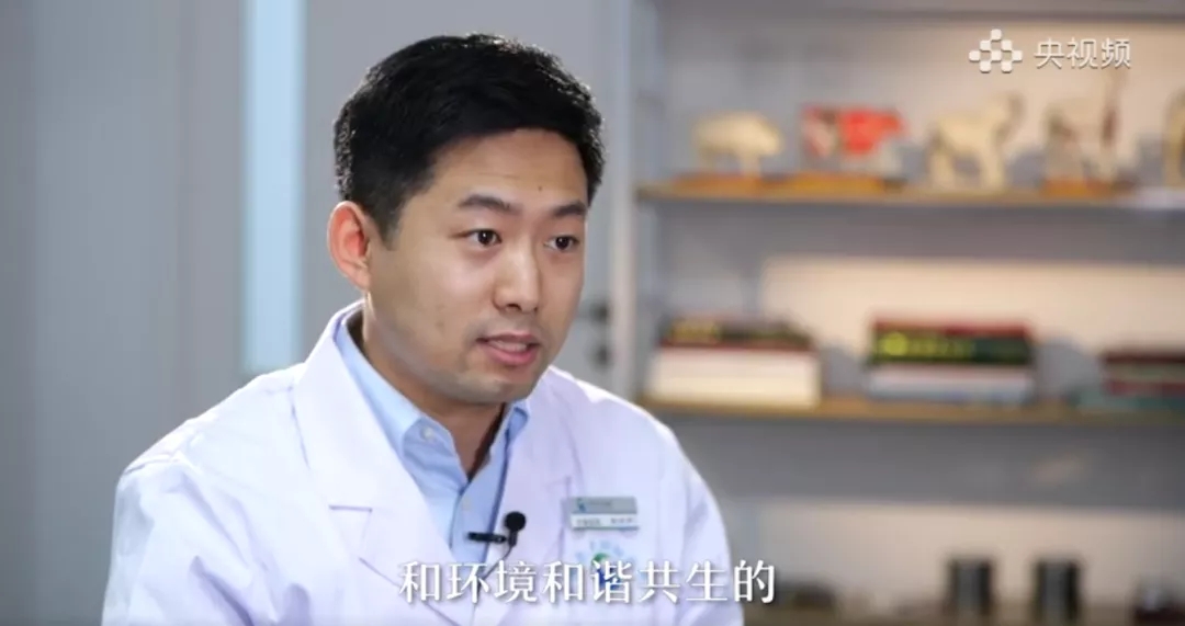 a5娱乐下载