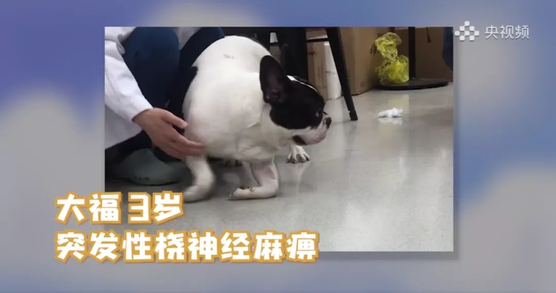 a5娱乐下载