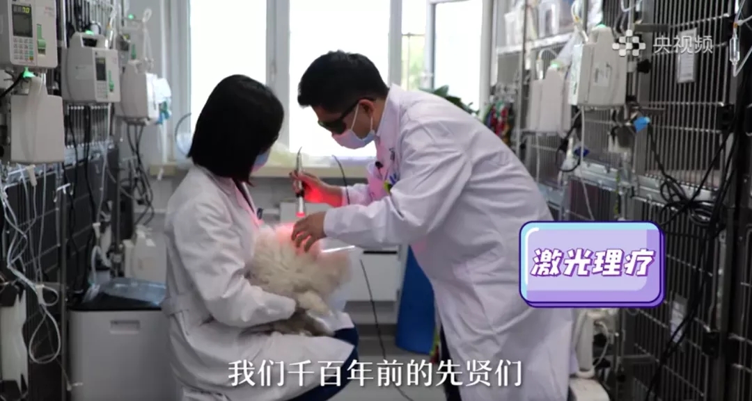 a5娱乐下载