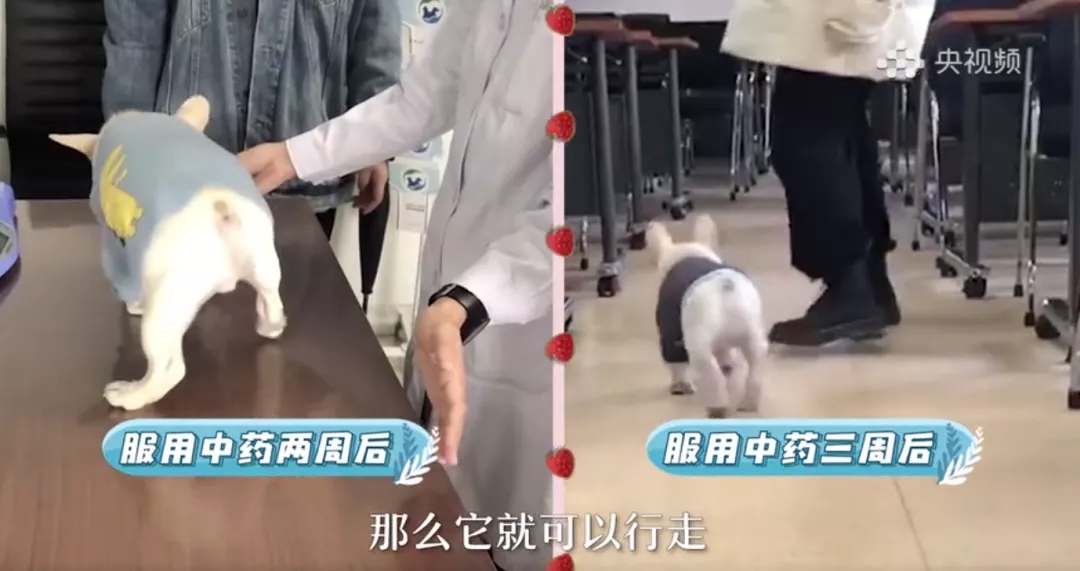 a5娱乐下载