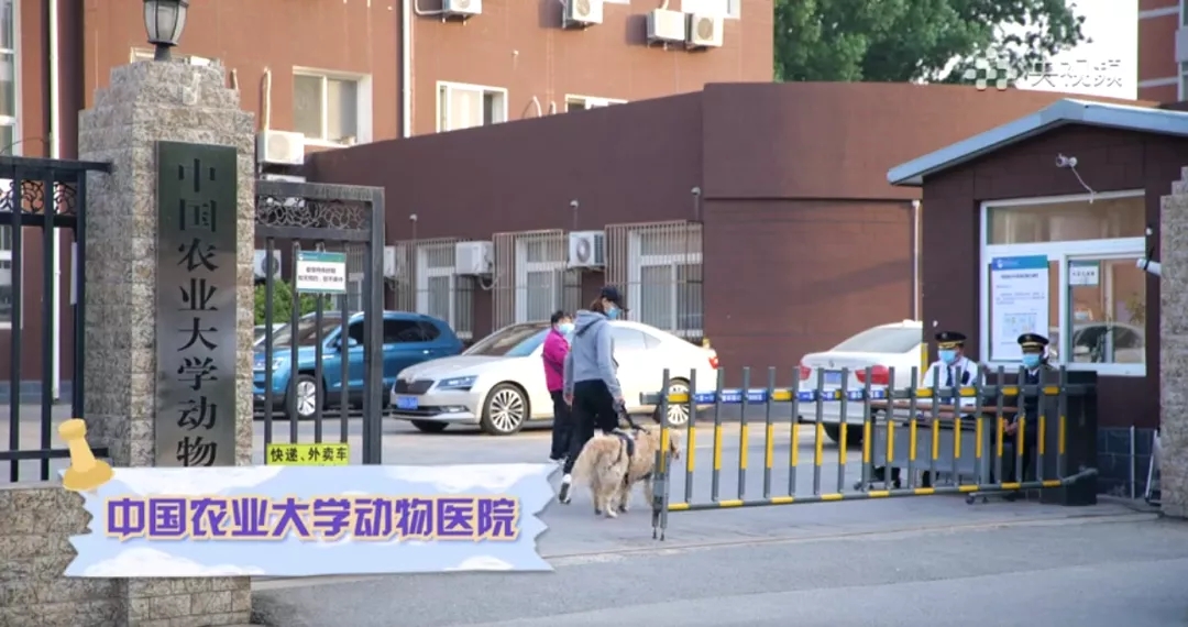 a5娱乐下载