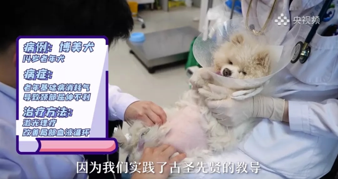 a5娱乐下载