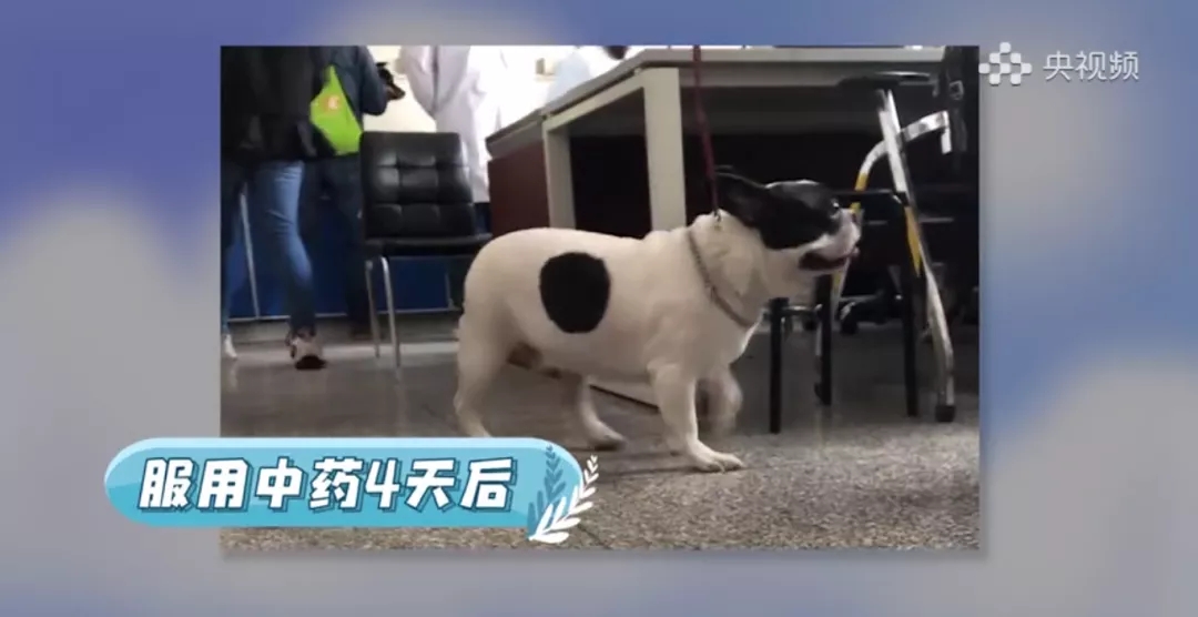 a5娱乐下载