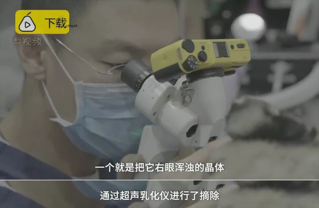 a5娱乐下载