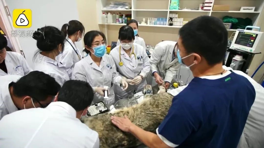 a5娱乐下载