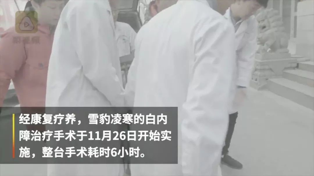 a5娱乐下载