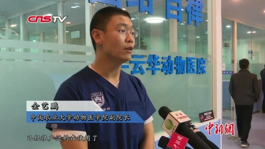 a5娱乐下载