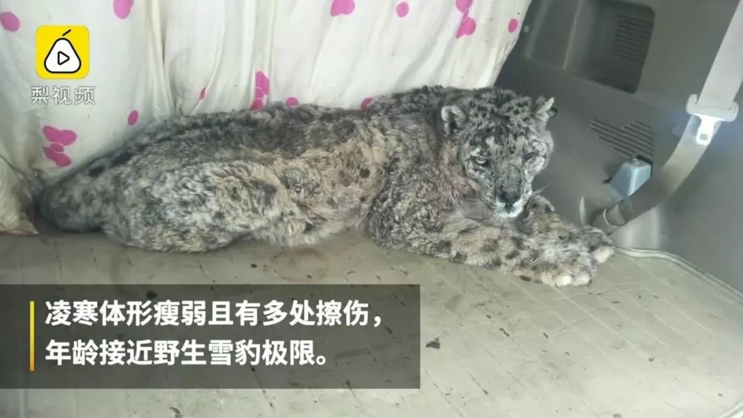 a5娱乐下载