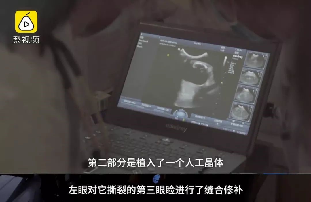 a5娱乐下载