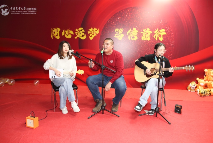 a5娱乐下载