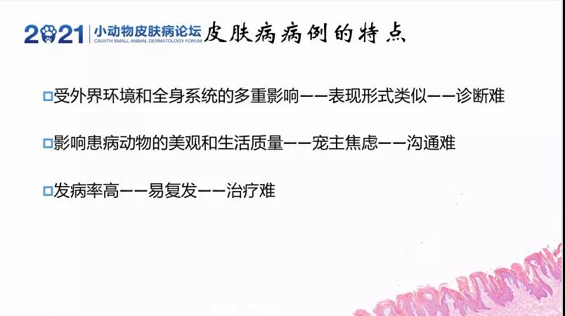 a5娱乐下载
