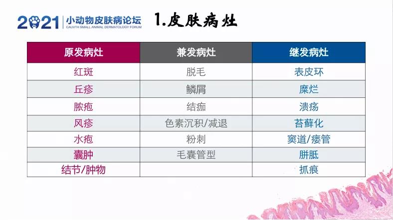 a5娱乐下载