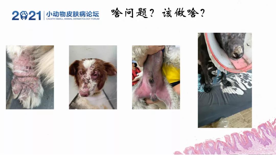 a5娱乐下载