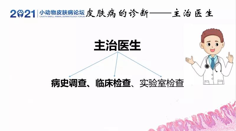 a5娱乐下载