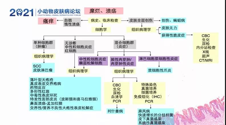 a5娱乐下载