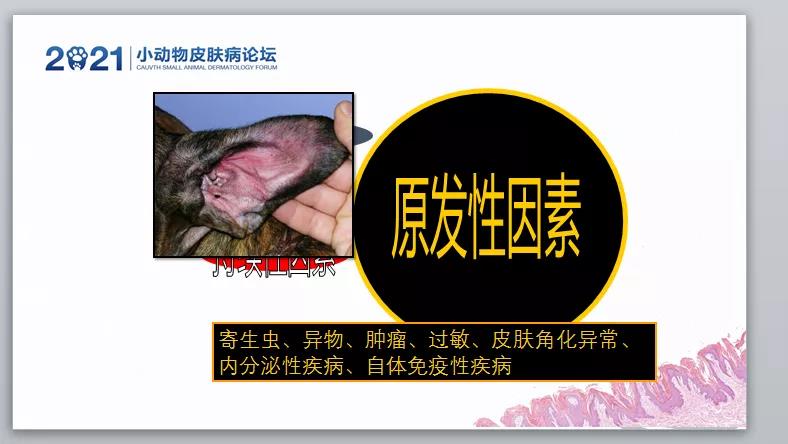 a5娱乐下载