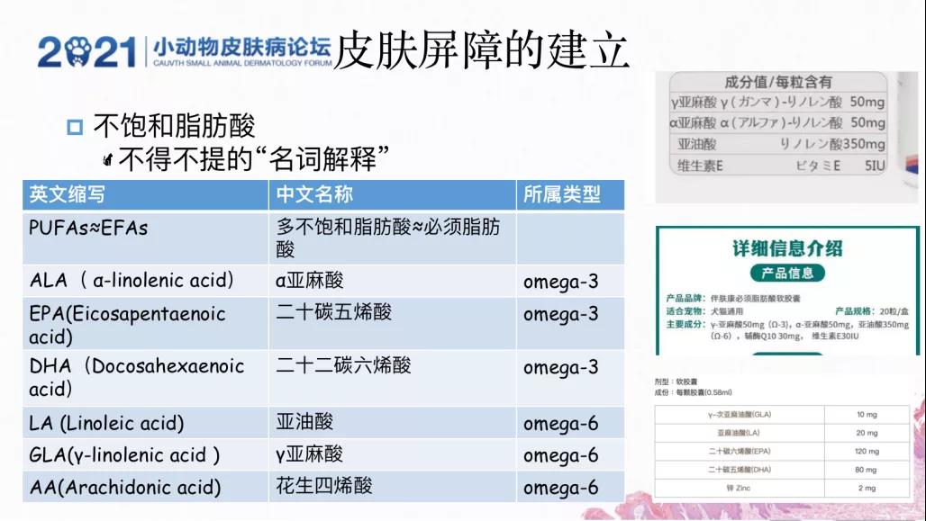 a5娱乐下载