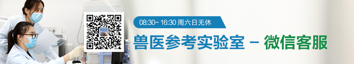 a5娱乐下载