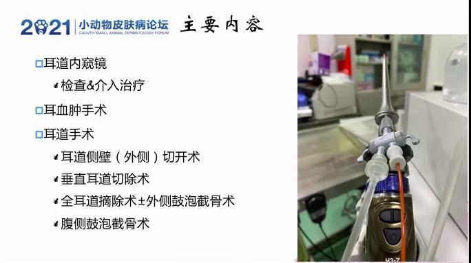 a5娱乐下载