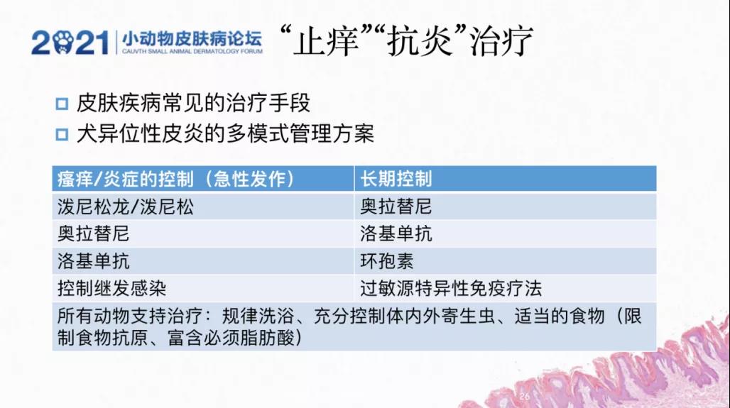 a5娱乐下载