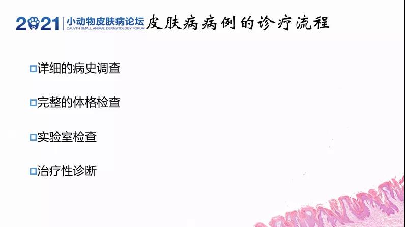 a5娱乐下载