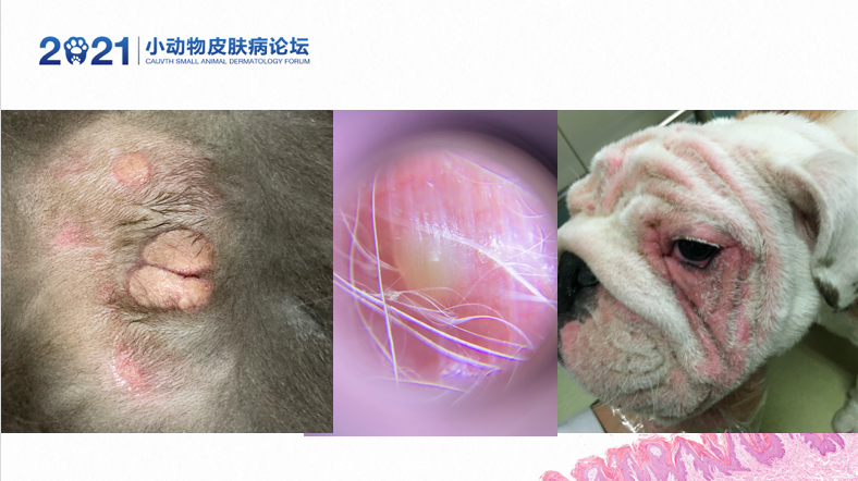 a5娱乐下载