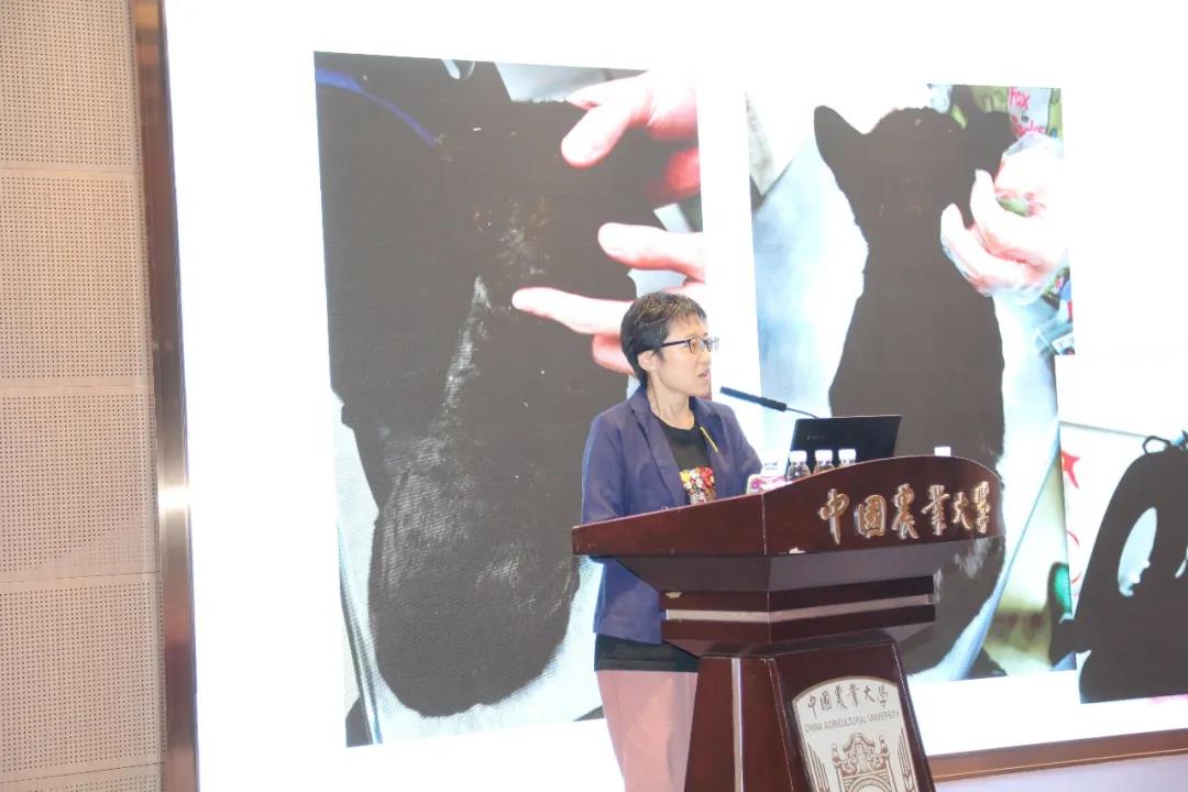 a5娱乐下载
